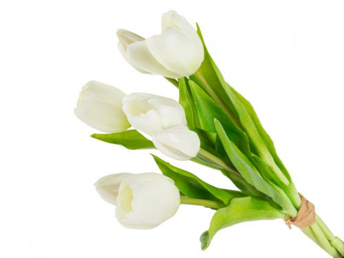 Букет тюльпанів 