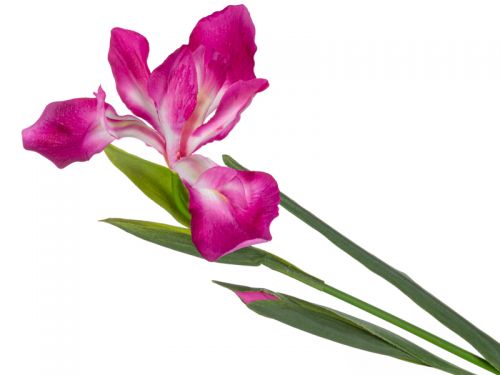 Ірис рожевий 76 см (пластик)