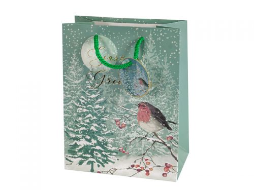 Подарунковий пакет 18х23х10 см (папір)