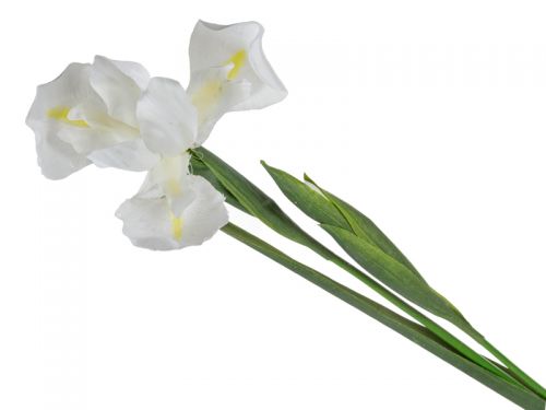 Ірис білий 76 см (пластик)