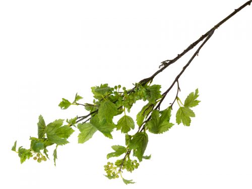 Гілка калини 100 см