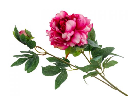 Півонія червона 68 см