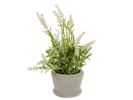 Штучна рослина Лаванда біла 22х8х8 см (шовк штучний/ пластик/ кераміка)