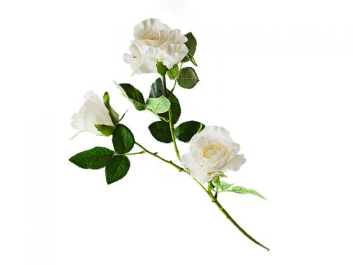 Троянда червона (83 см)