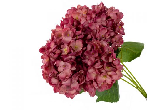 Букет гортензії 5 голів 50см