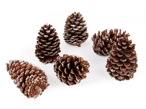 Набір декоративних шишок 6 шт (натуральні матеріали)