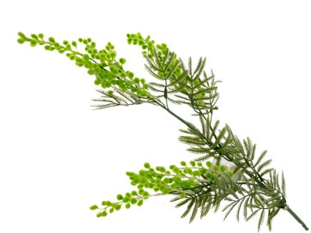 Гілка мімози зелена 80 см (платсик з напиленням)