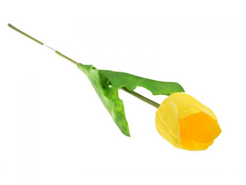 Тюльпан Великий, латекс, 65 см