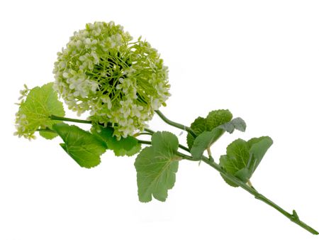 Гілка часнику 65 см (пластик)