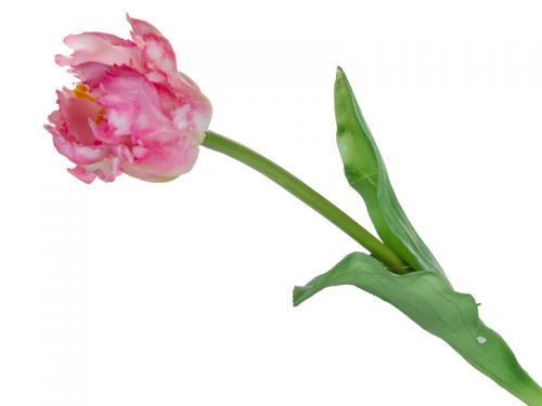 Тюльпан біло-рожевий 47 см (шовк штучний)