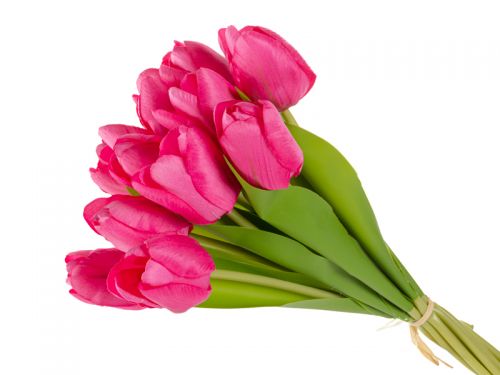Пучок тюльпана 12голов гель