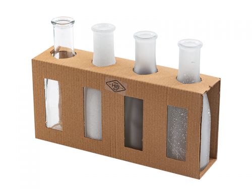 Набор из 4-х ваз Bottle white-frost h18 d6x26,5 см