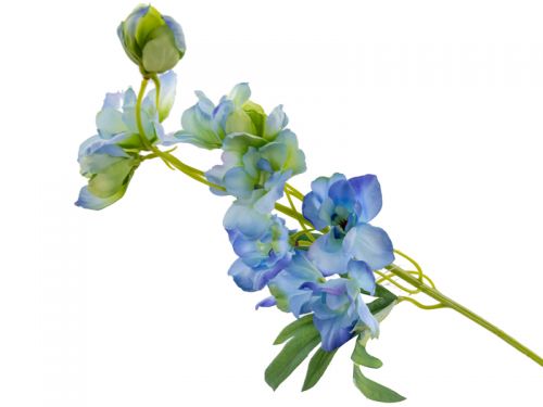 Дельфініум блакитний 50 см