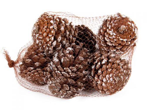 Набір декоративних шишок 6 шт (натуральні матеріали)